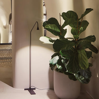 Pureform Floor Lamp Floor lamp