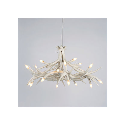 Superordinate Antler Chandelier - 12 Antlers