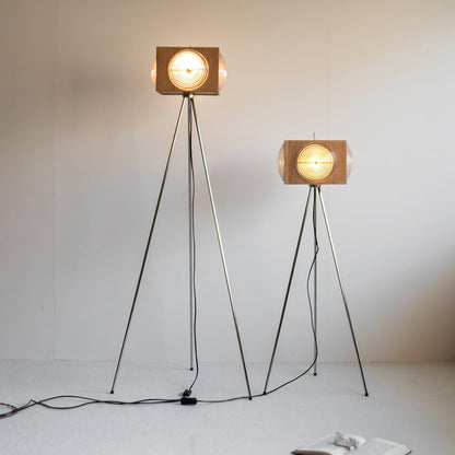Retro Camera Focus Floor Lamp Floor lamp