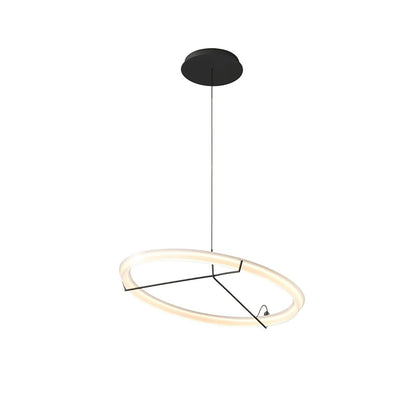 Ring Nodes Pendant Lamp Model B Dia 29.5″ x H 59.1″ / Dia 75cm x H 150cm / Black & White / Warm light Pendant light