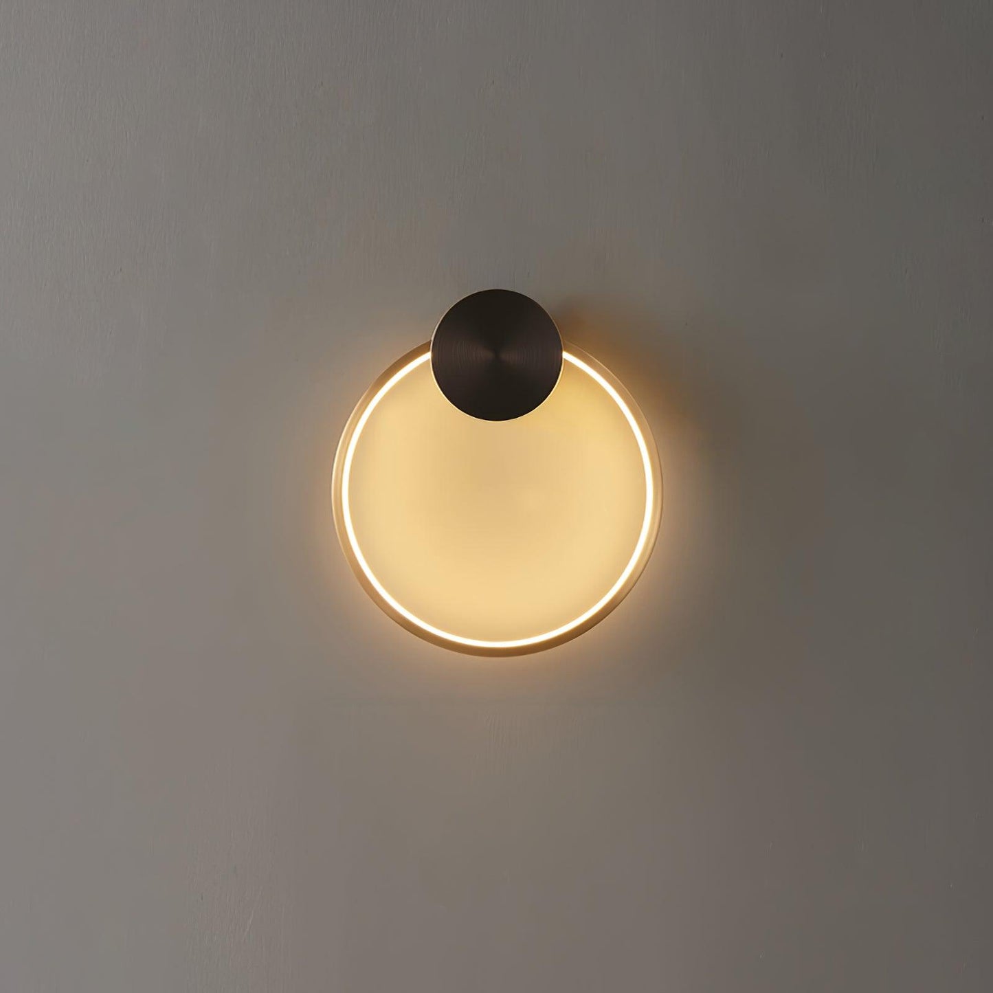 Ring Shaped LED Wall Light Wall lamp