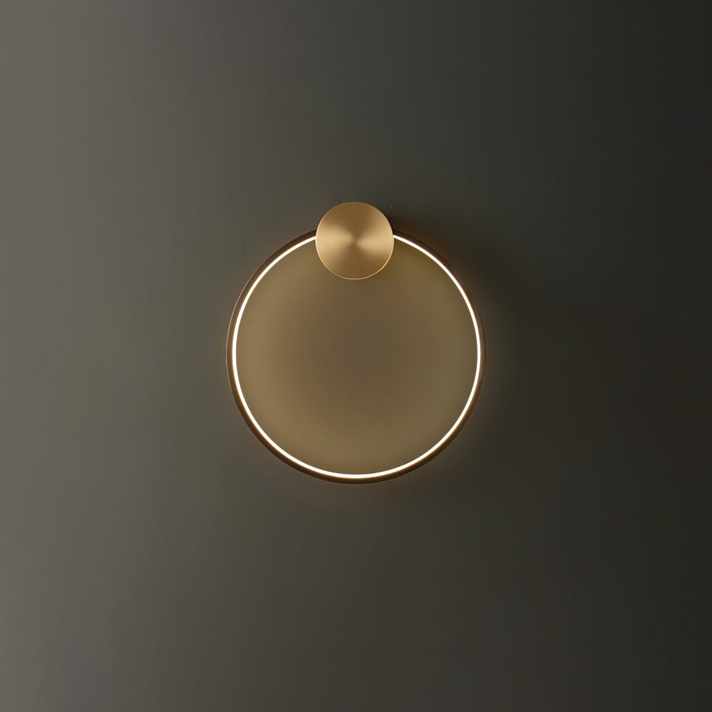 Ring Shaped LED Wall Light Wall lamp