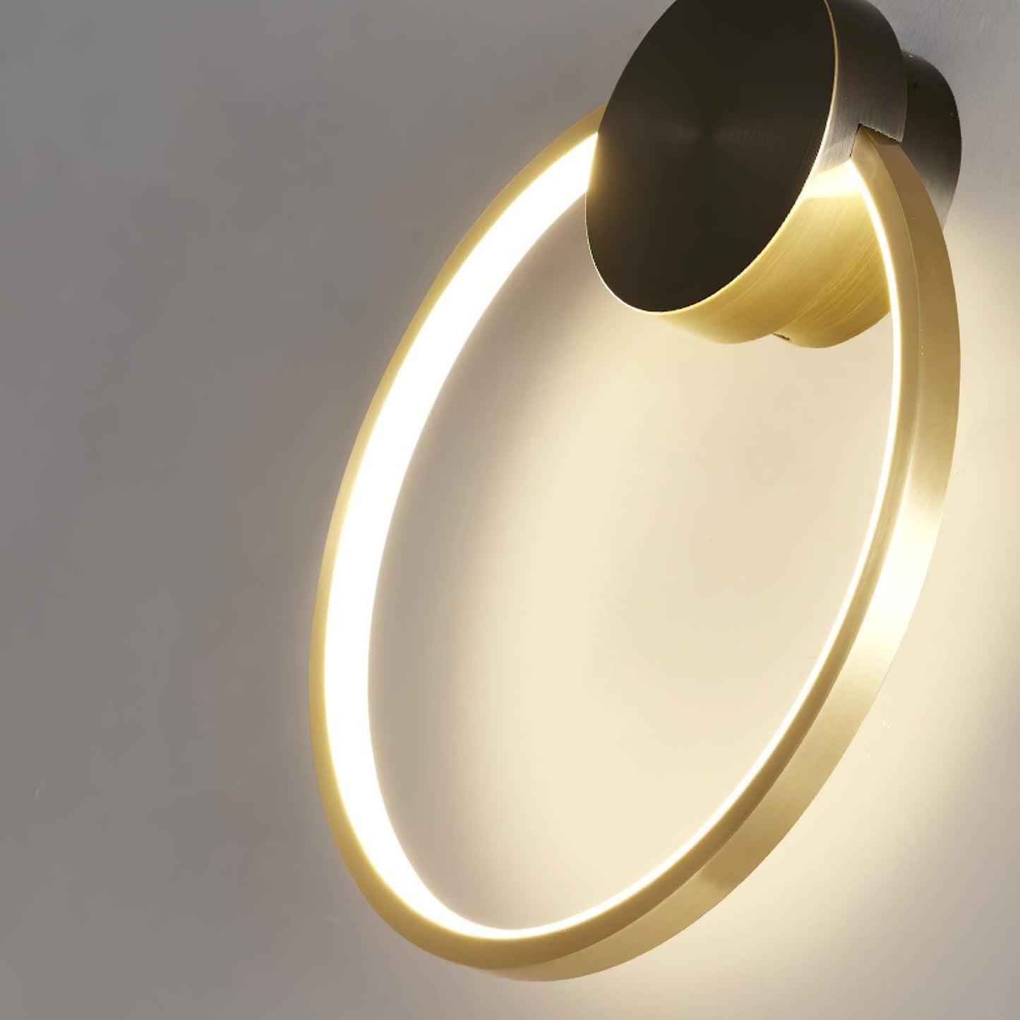 Ring Shaped LED Wall Light Wall lamp