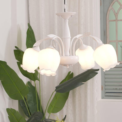 Rococo Chandelier Chandelier