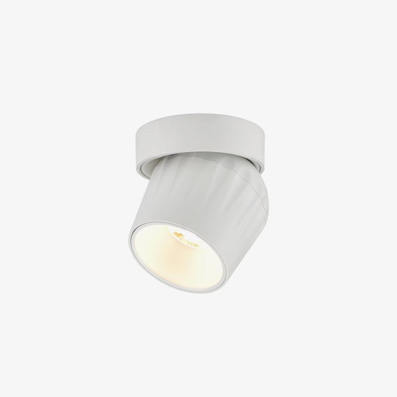 Rotatable Spotlight Ceiling lamp