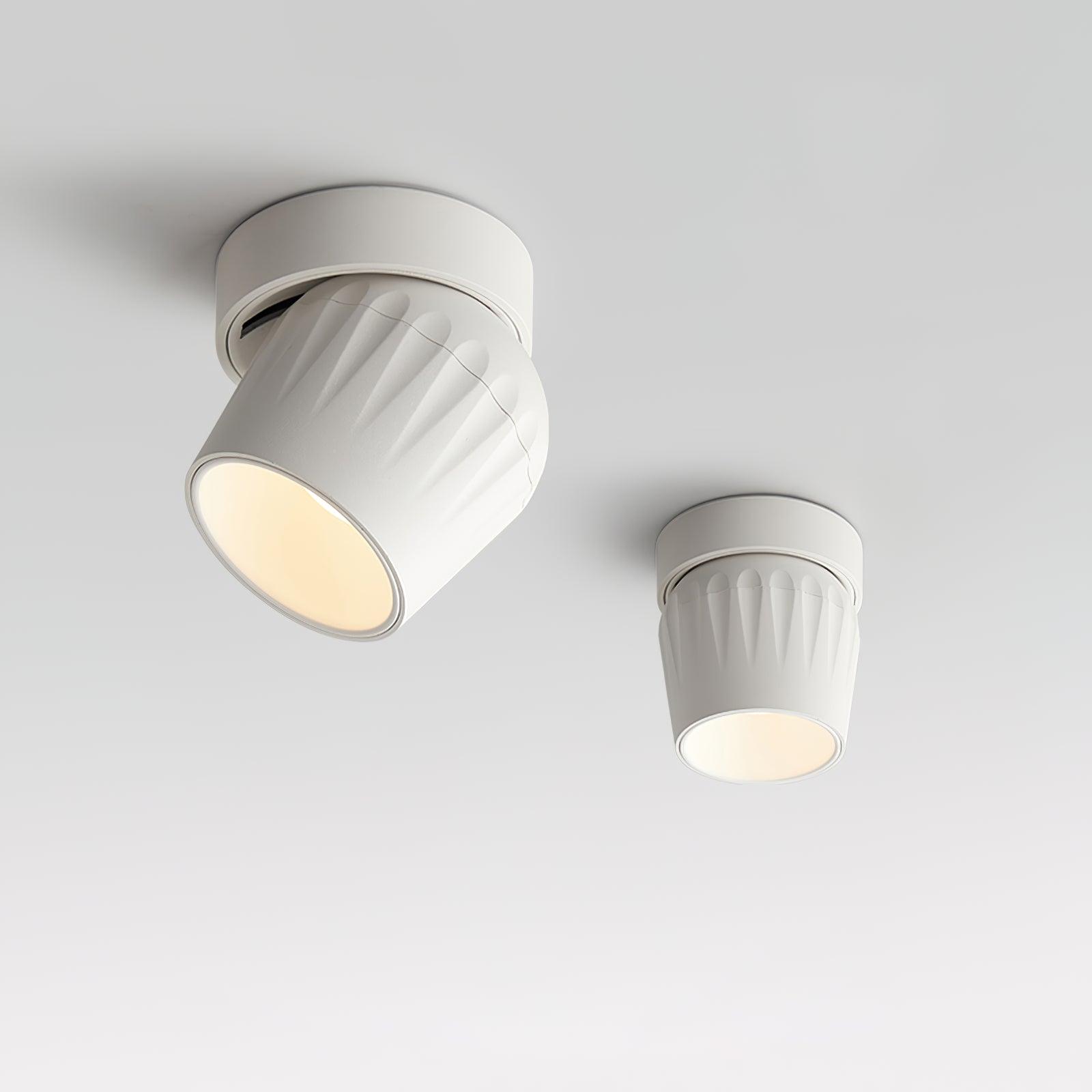 Rotatable Spotlight Ceiling lamp