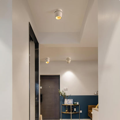 Rotatable Spotlight Ceiling lamp