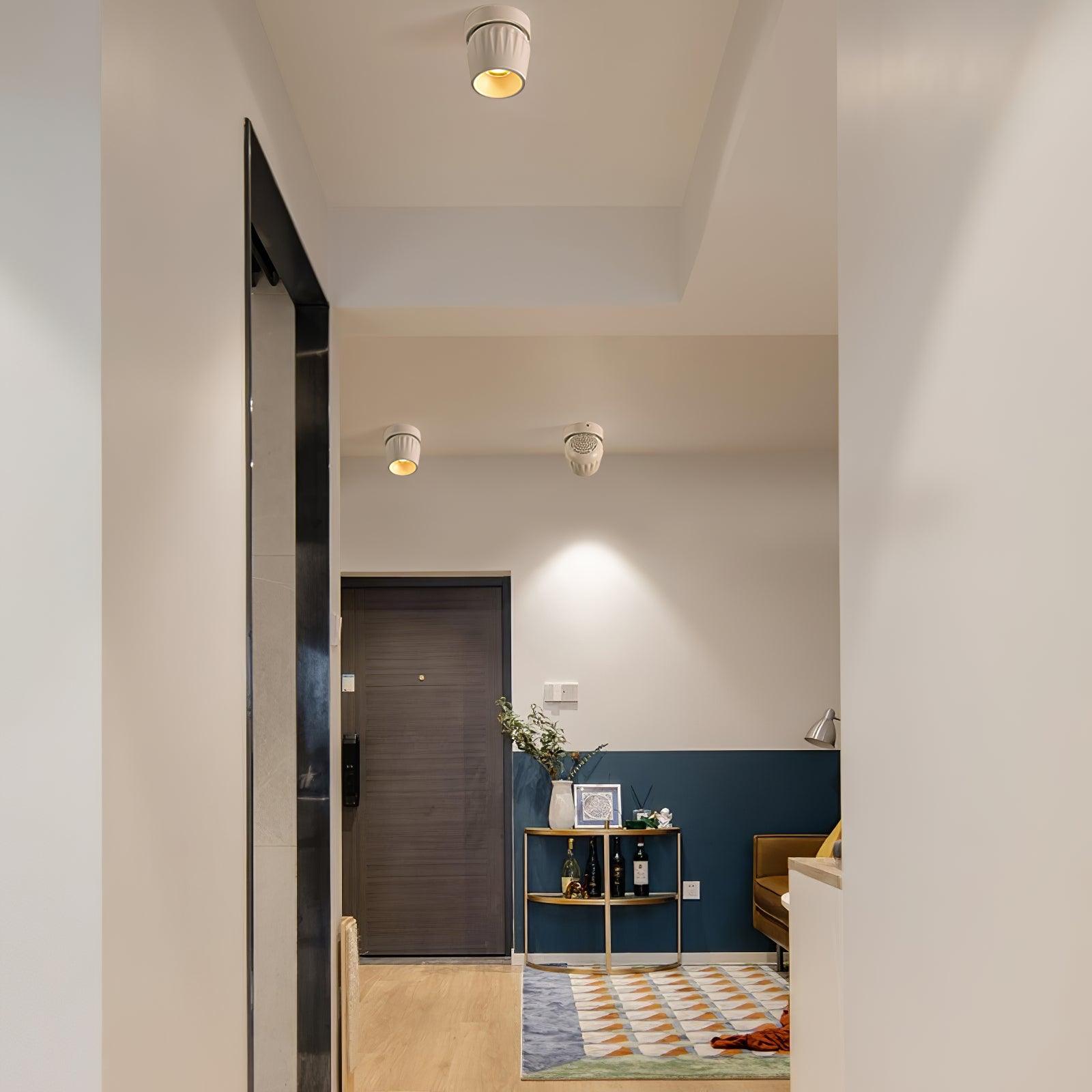 Rotatable Spotlight Ceiling lamp