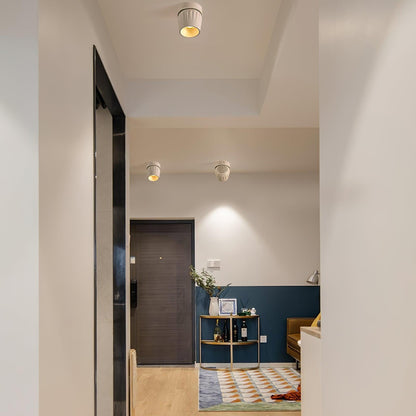 Rotatable Spotlight Ceiling lamp