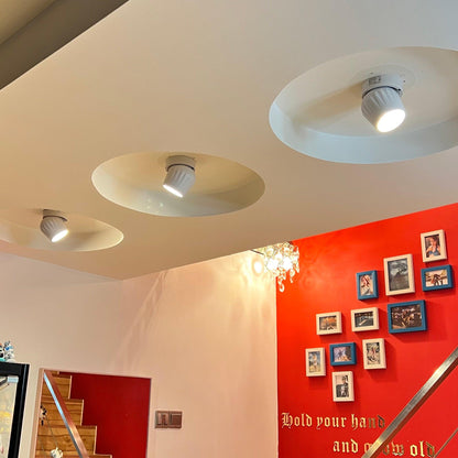 Rotatable Spotlight Ceiling lamp