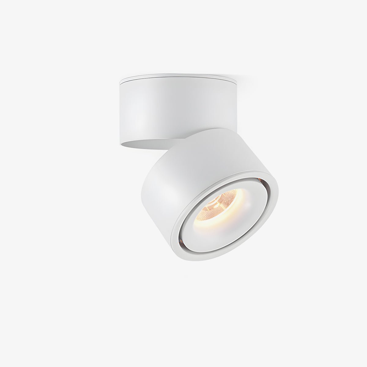 Rotatable Spotlight Ceiling Light Ceiling lamp