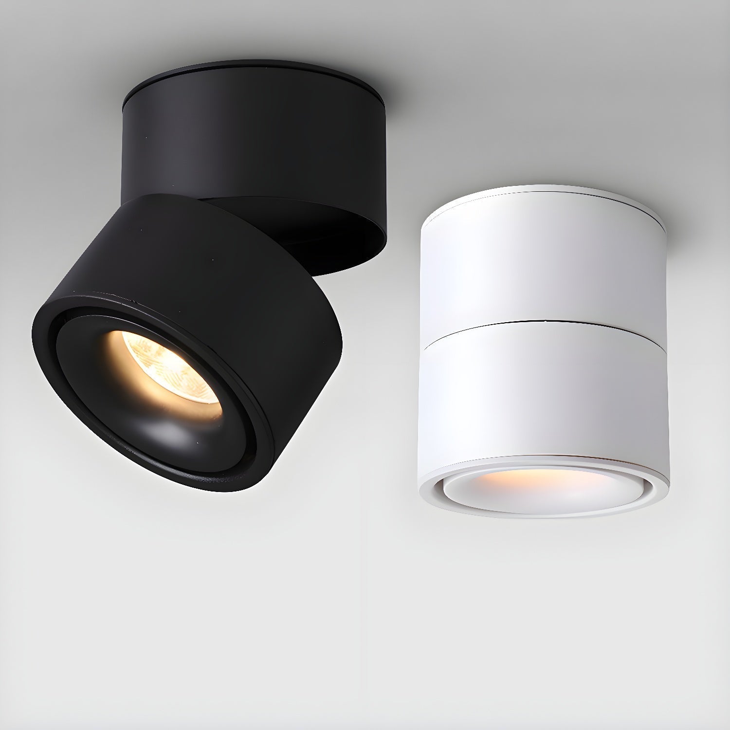 Rotatable Spotlight Ceiling Light Ceiling lamp