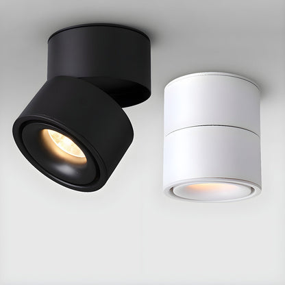 Rotatable Spotlight Ceiling Light Ceiling lamp