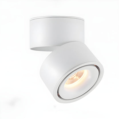 Rotatable Spotlight Ceiling Light Dia 3.9″ x H 3.9″ / White / Warm Light Ceiling lamp