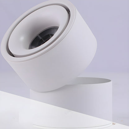 Rotatable Spotlight Ceiling Light Ceiling lamp