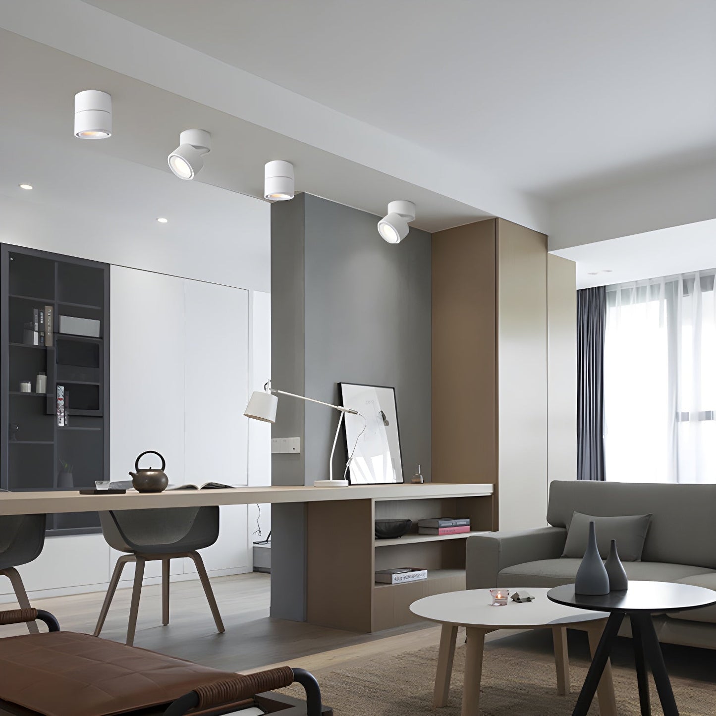 Rotatable Spotlight Ceiling Light Ceiling lamp