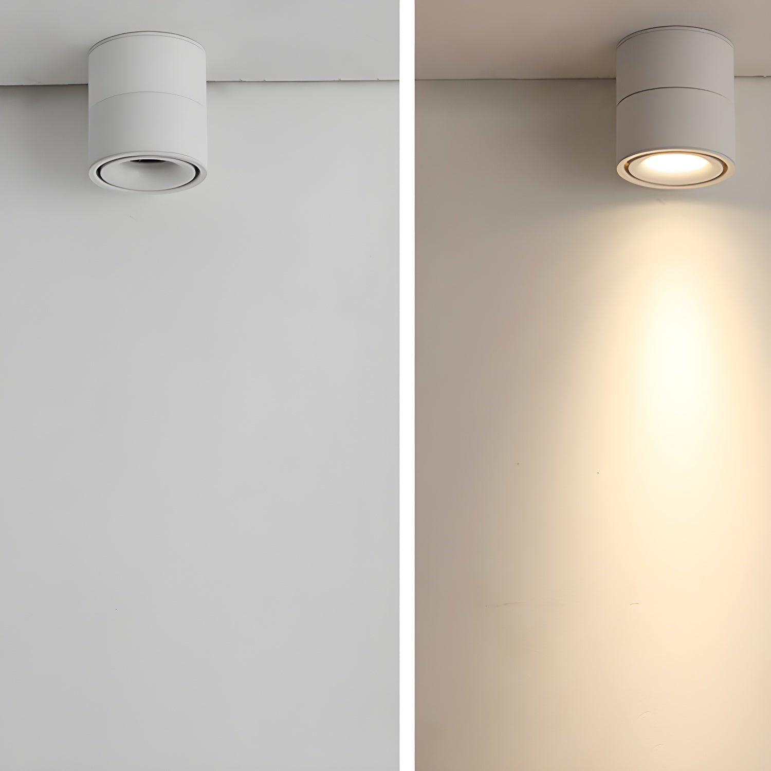 Rotatable Spotlight Ceiling Light Ceiling lamp