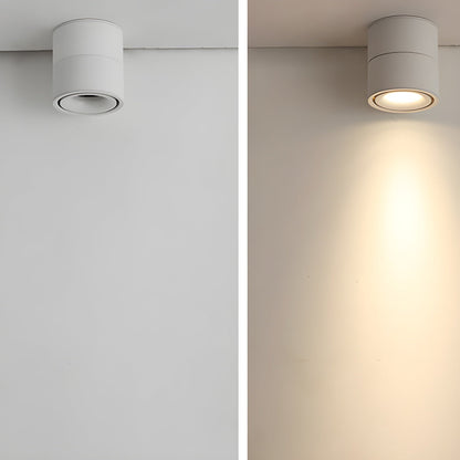 Rotatable Spotlight Ceiling Light Ceiling lamp