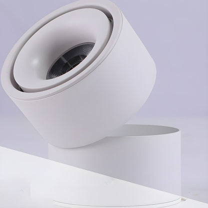 Rotatable Spotlight Ceiling Light Ceiling lamp
