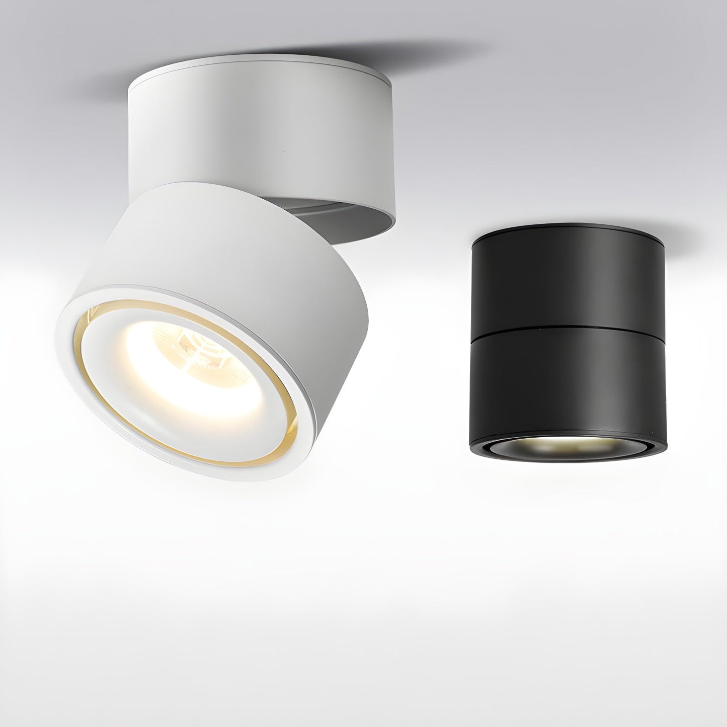 Rotatable Spotlight Ceiling Light Ceiling lamp