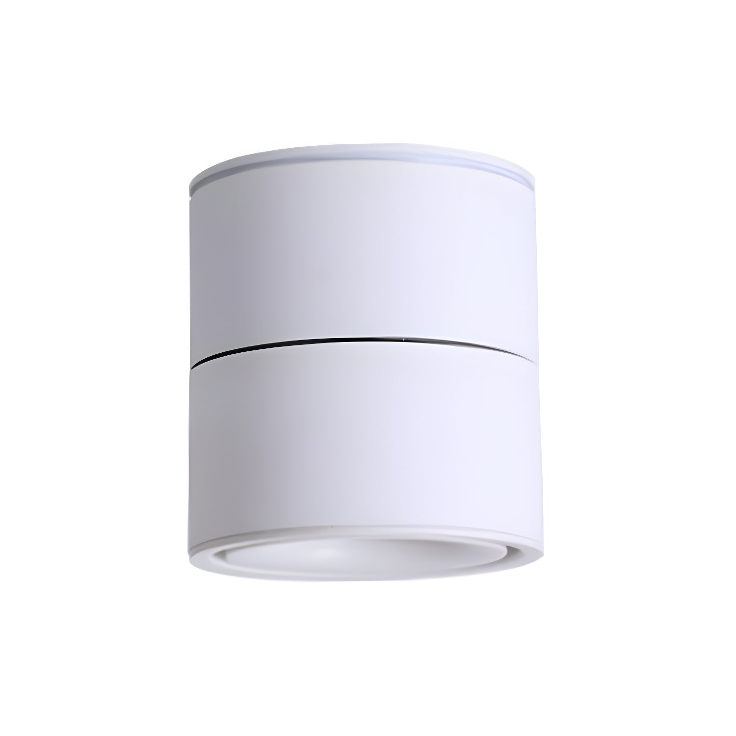 Rotatable Spotlight Ceiling Light Ceiling lamp