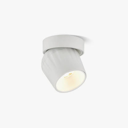 Rotatable Spotlight Ceiling lamp