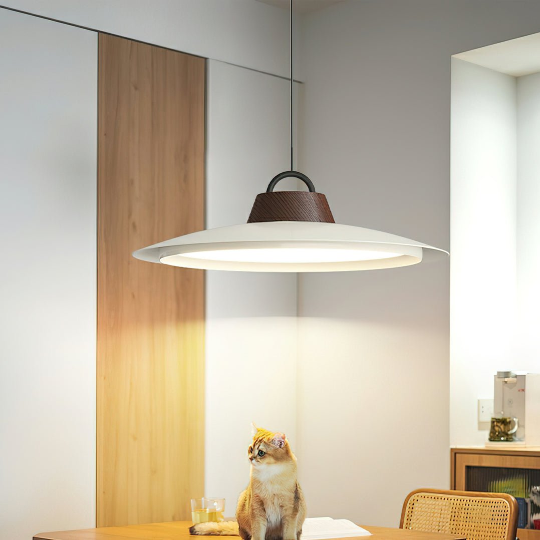 Ruile Pendant Lamp Pendant light