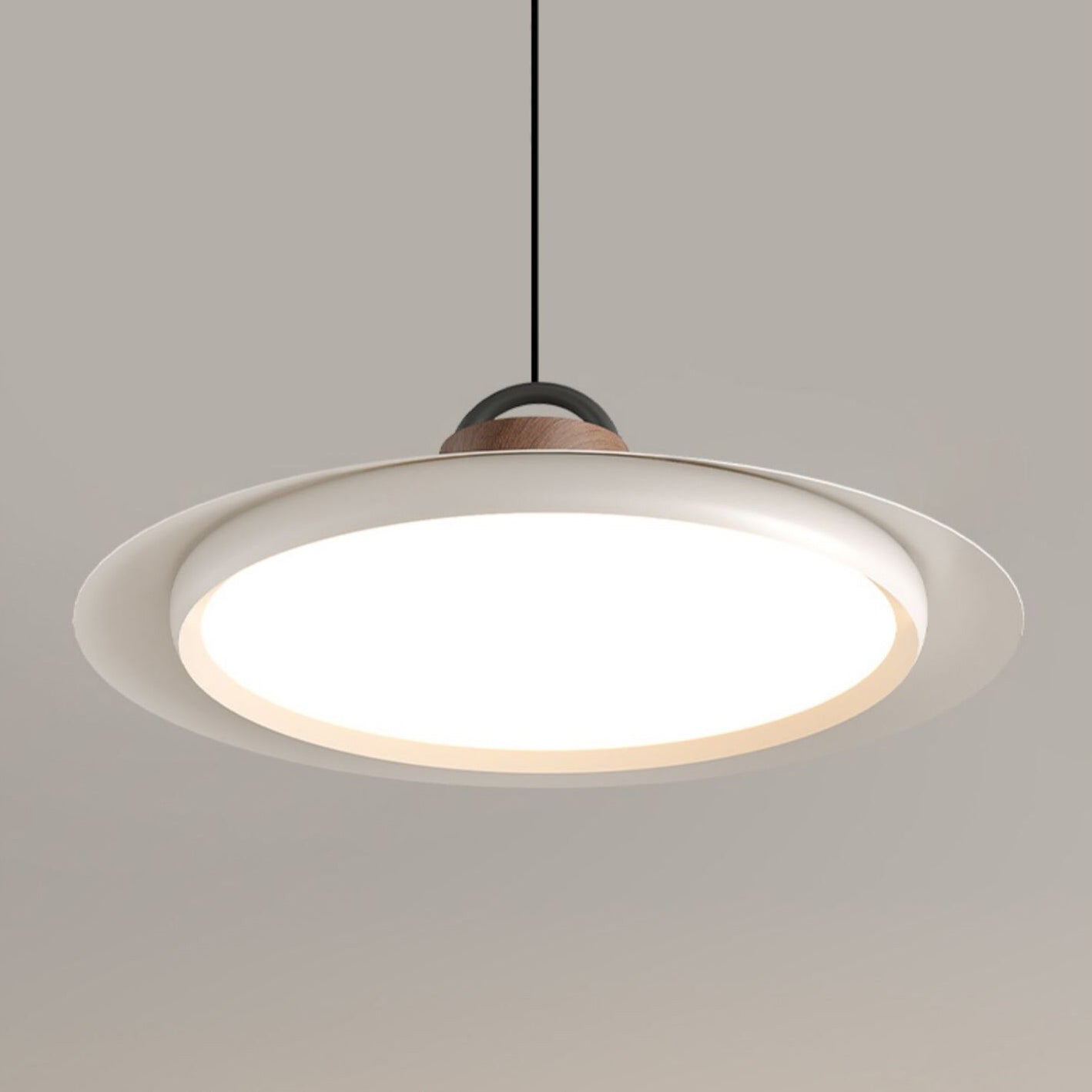 Ruile Pendant Lamp Pendant light