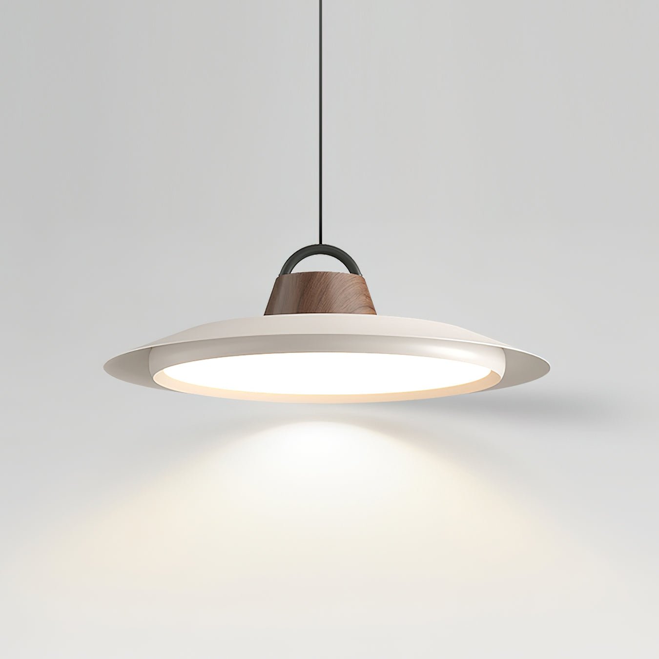 Ruile Pendant Lamp Pendant light