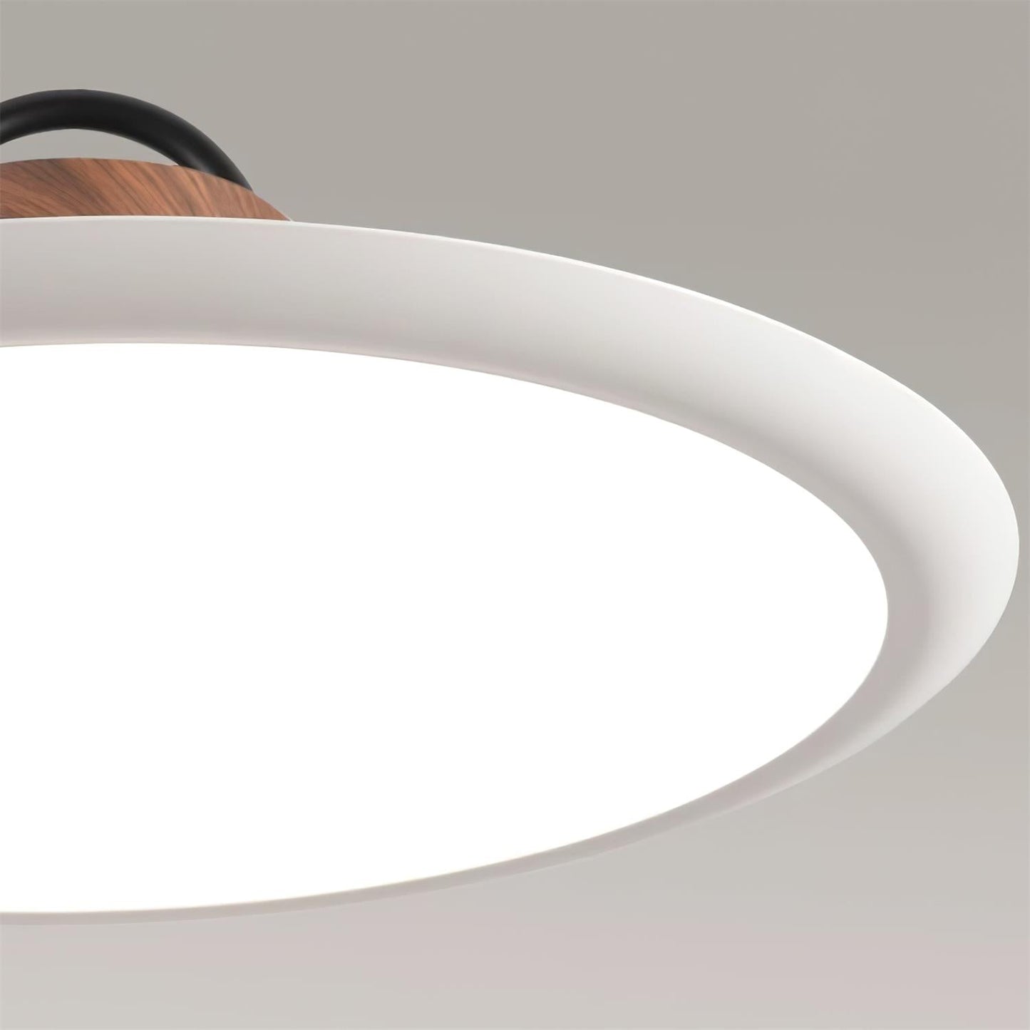Ruile Pendant Lamp Pendant light