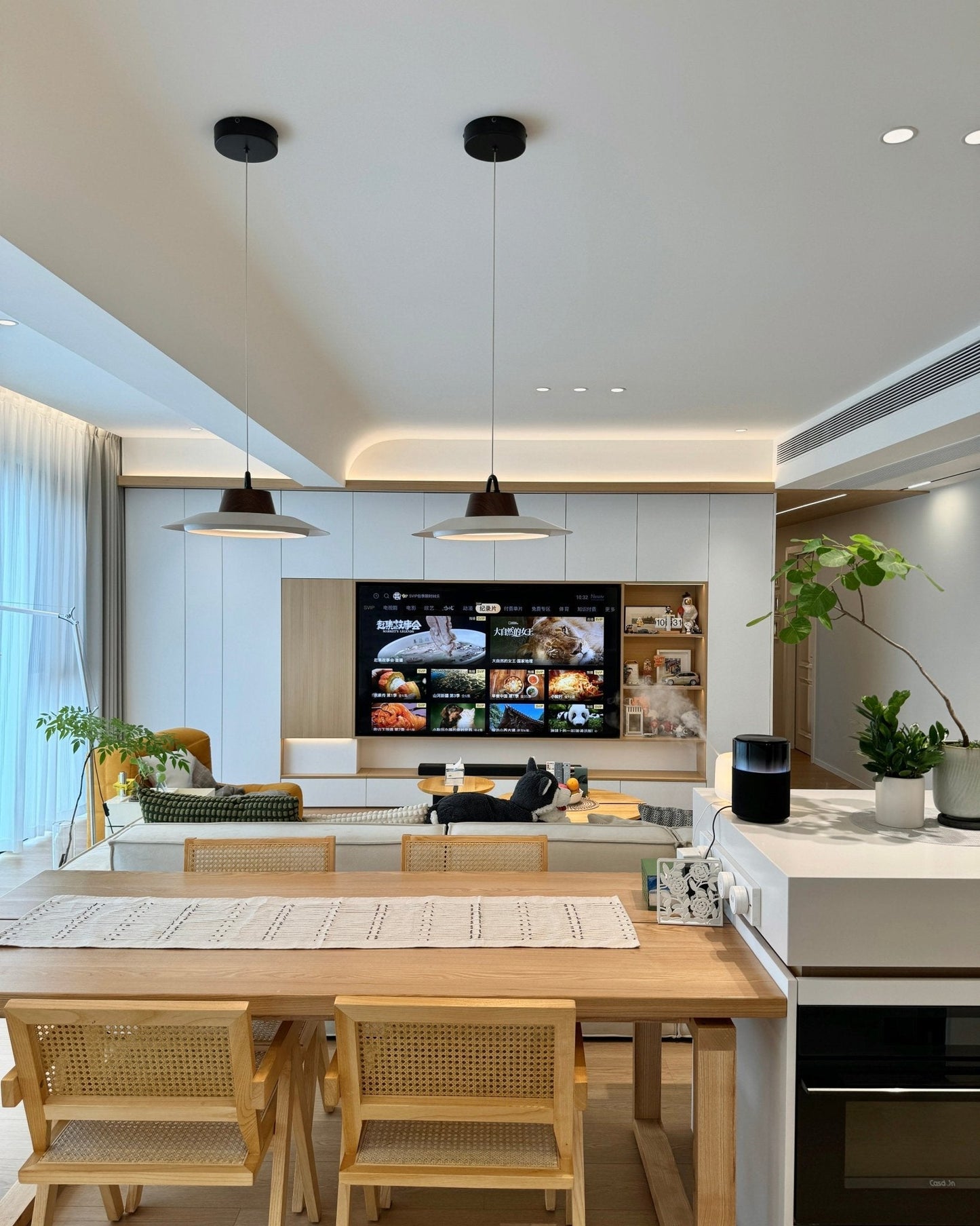 Ruile Pendant Lamp Pendant light