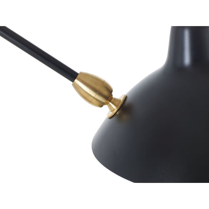 Two Arm Wall Sconce