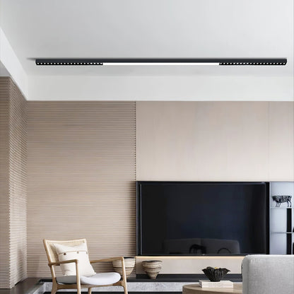 SLD50 Naked Magnetic Lamp Ceiling lamp