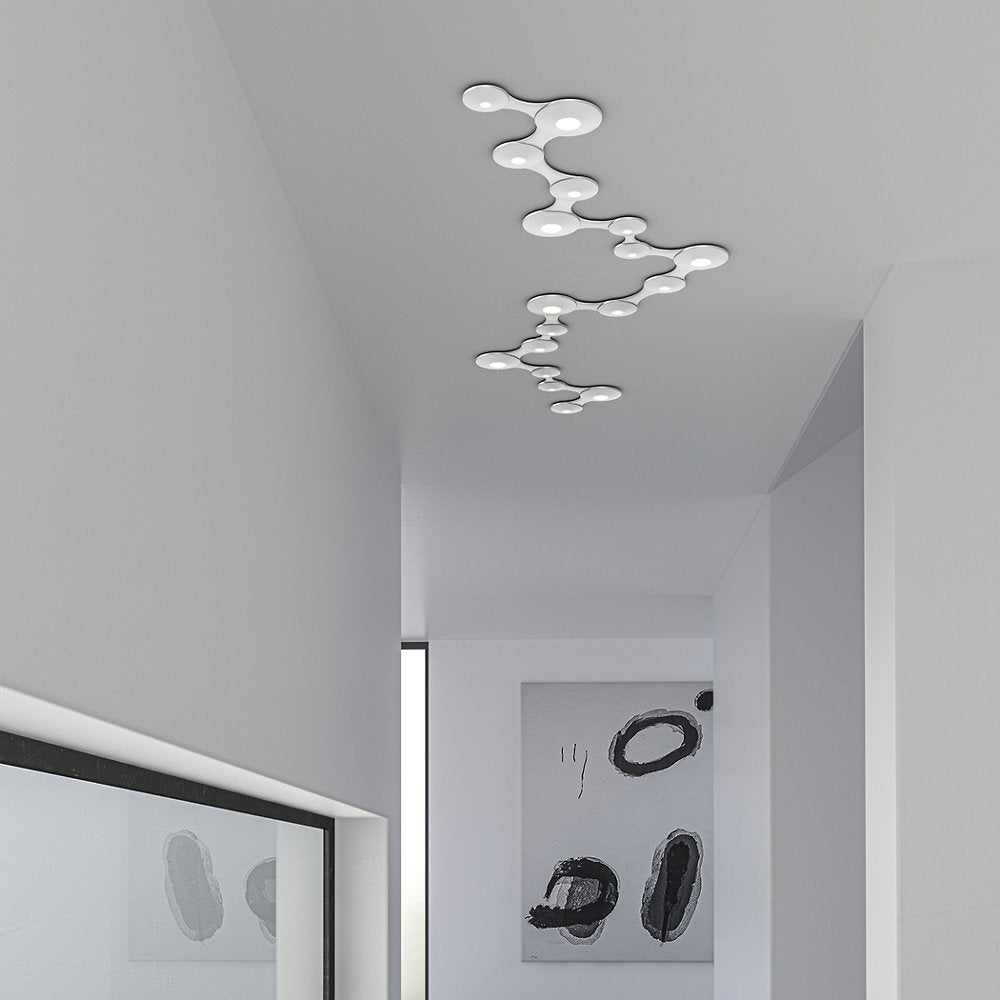 Coral Surface Luminaire LED Flushmount