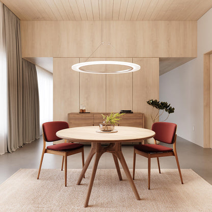 Arctic Rings Single LED Ring Pendant