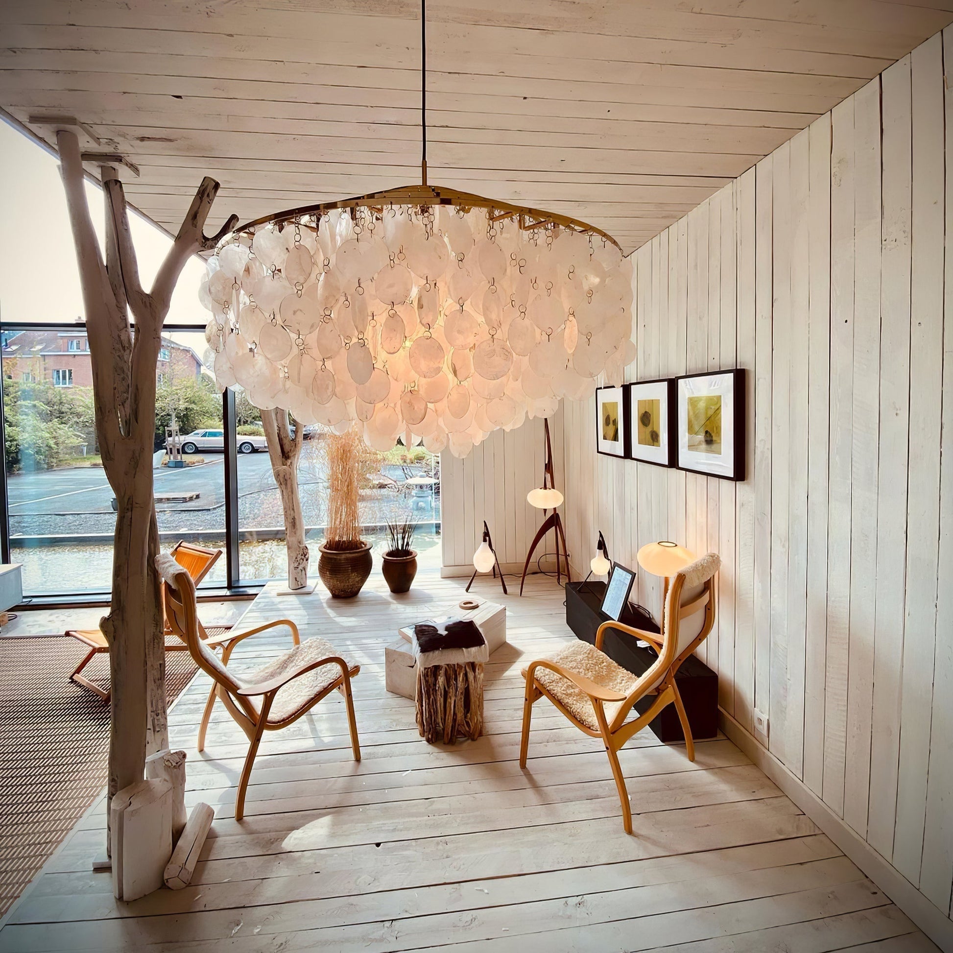Round Shell Chandelier Chandelier