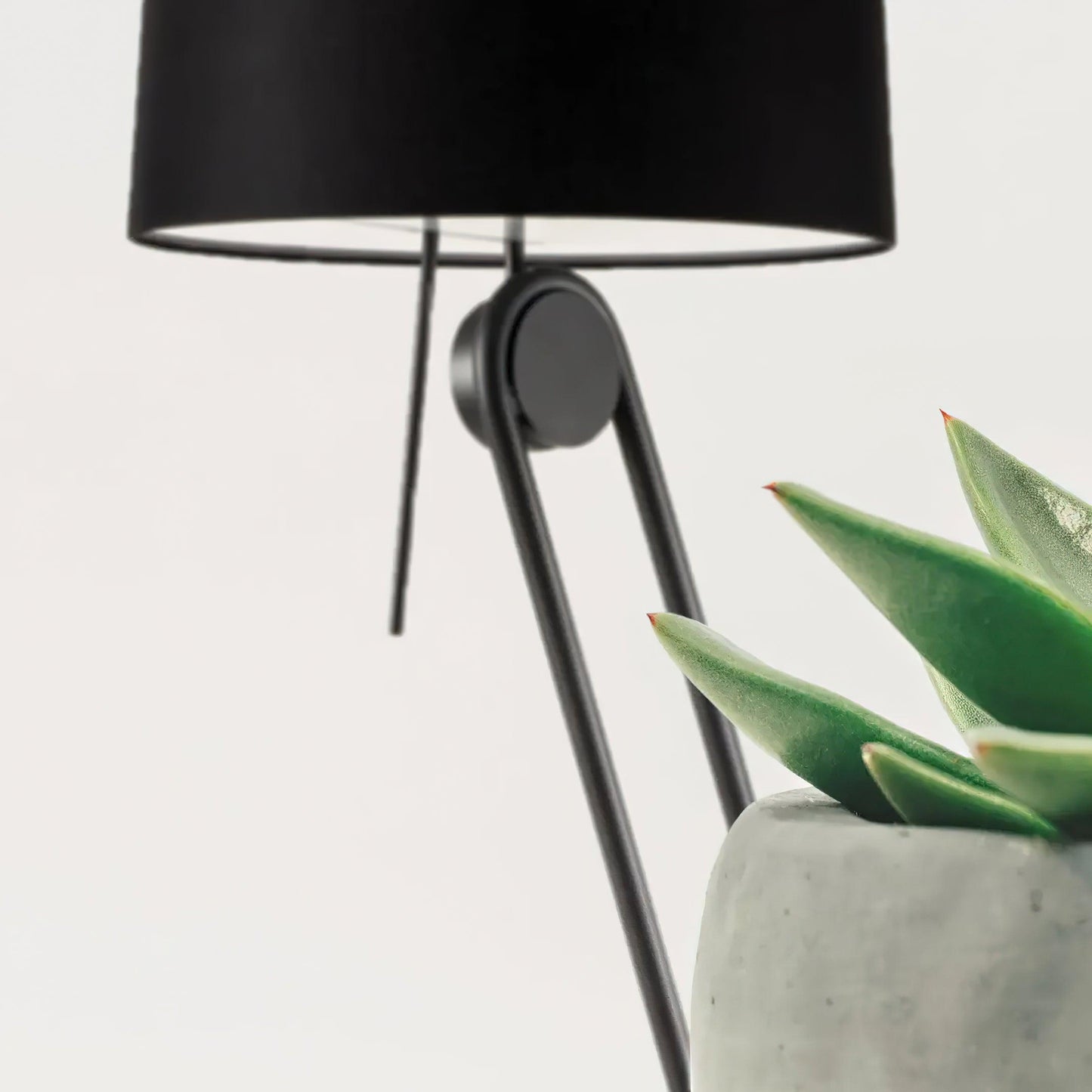 Sibaca Floor Lamp Floor lamp