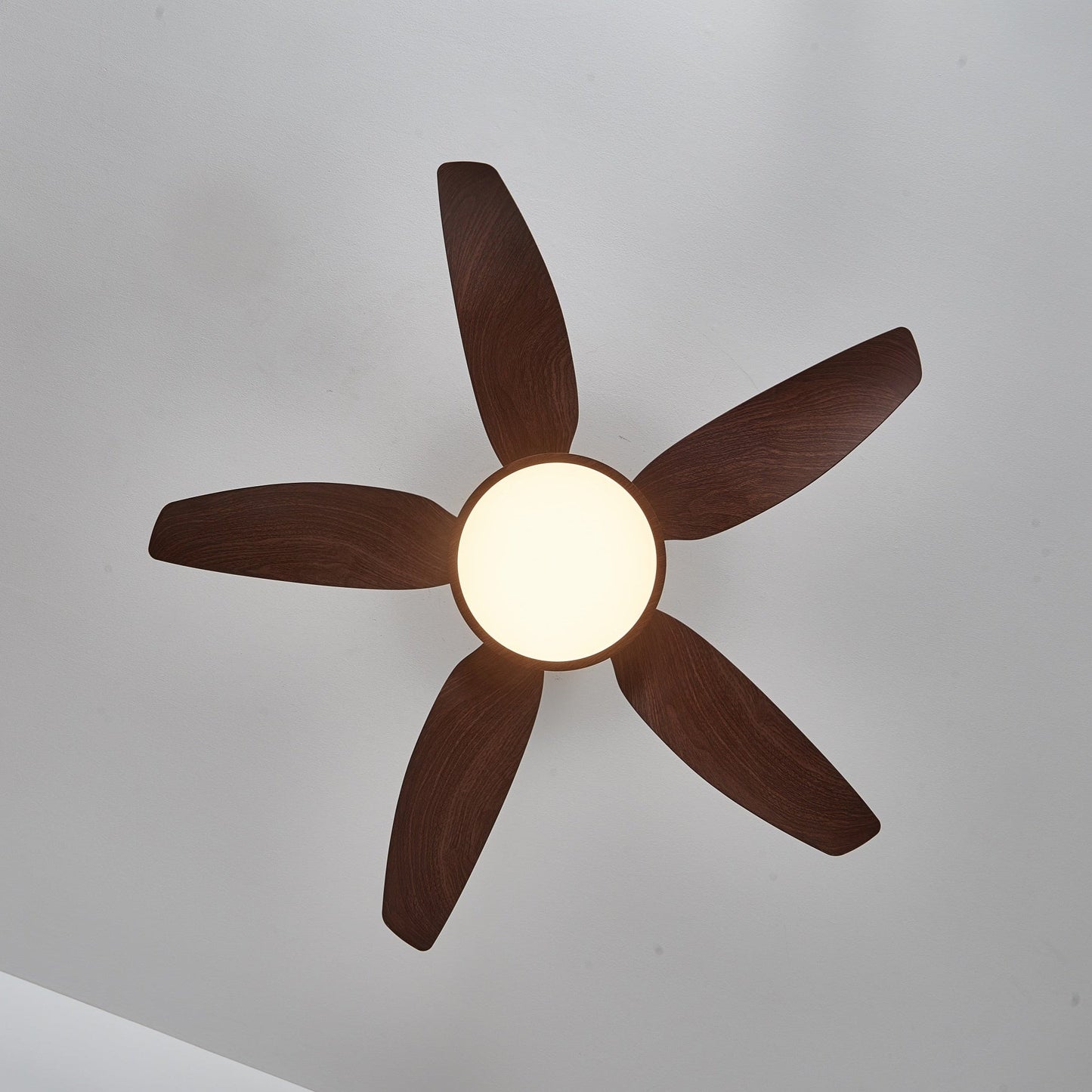Sirocco Breeze Ceiling Fan Light 1001 Ceiling fan light
