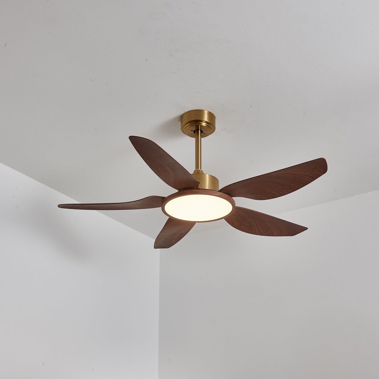 Sirocco Breeze Ceiling Fan Light 1001 Ceiling fan light