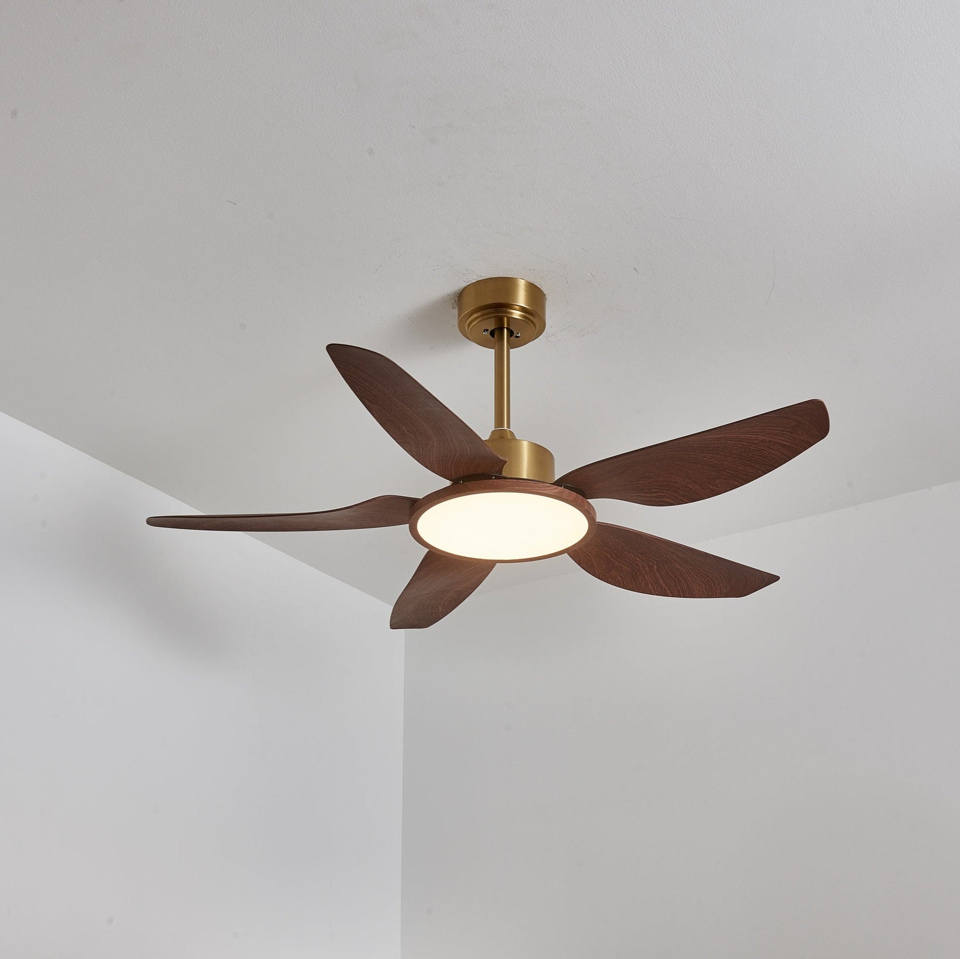 Sirocco Breeze Ceiling Fan Light 1001 Ceiling fan light