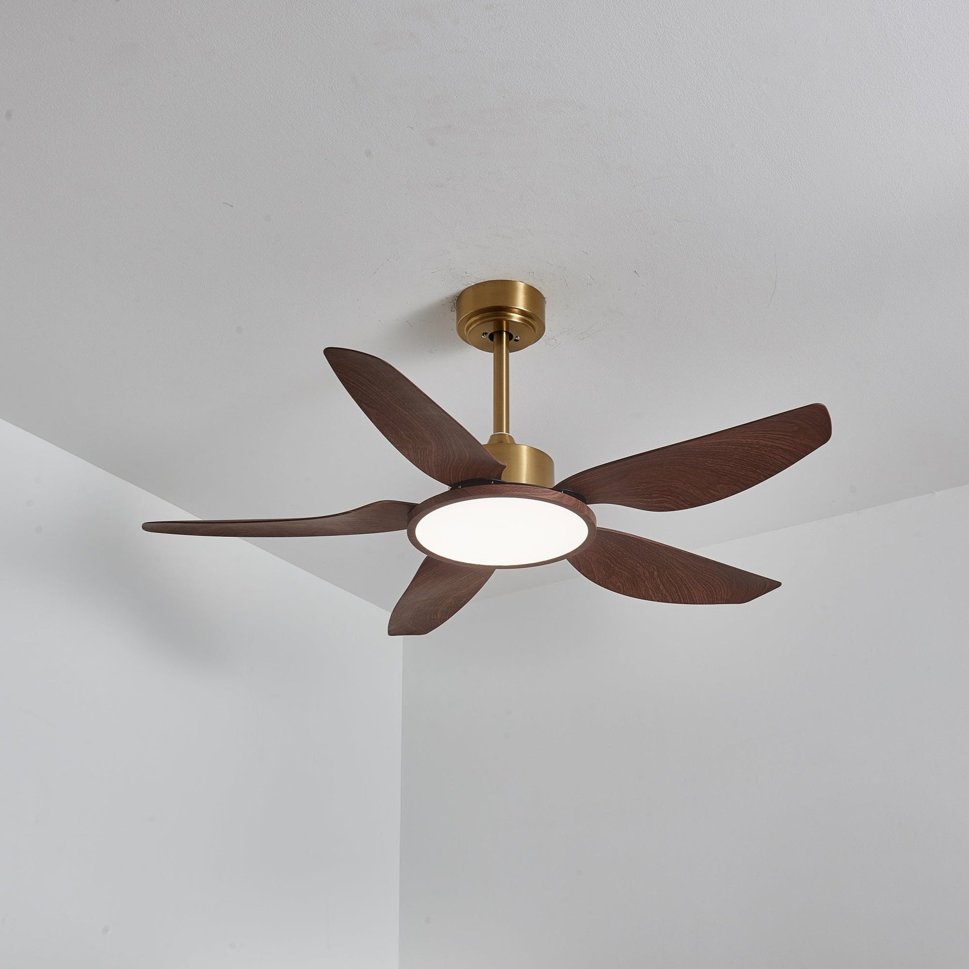 Sirocco Breeze Ceiling Fan Light 1001 Ceiling fan light
