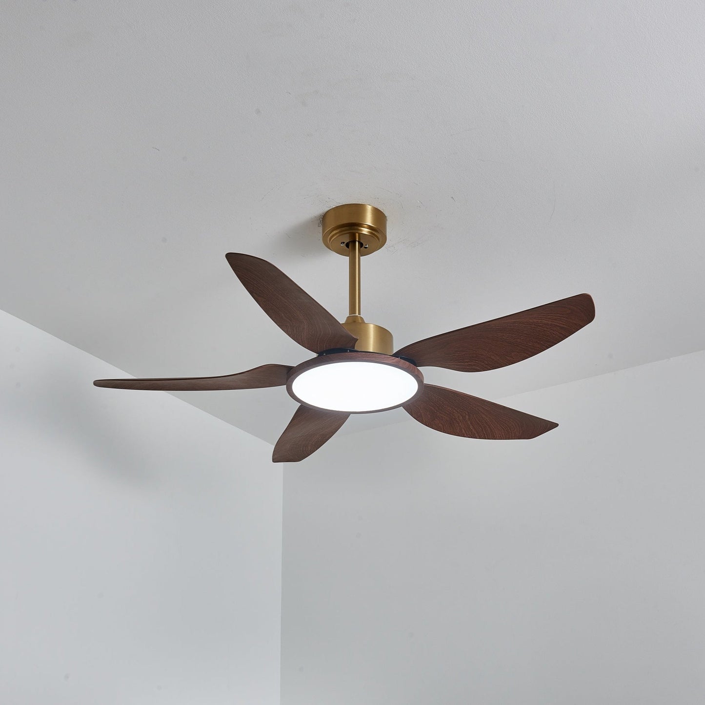 Sirocco Breeze Ceiling Fan Light 1001 Ceiling fan light