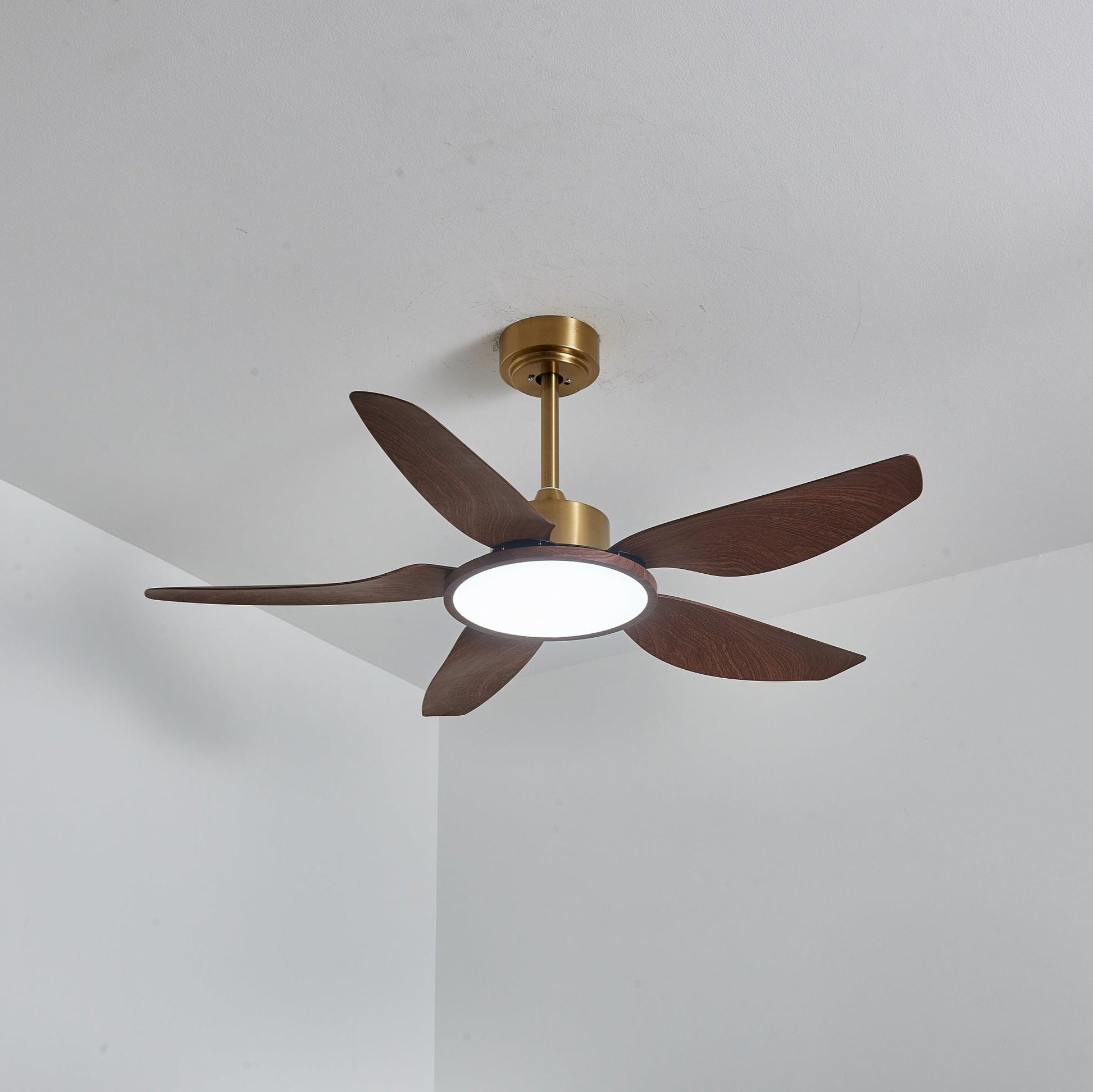 Sirocco Breeze Ceiling Fan Light 1001 Ceiling fan light