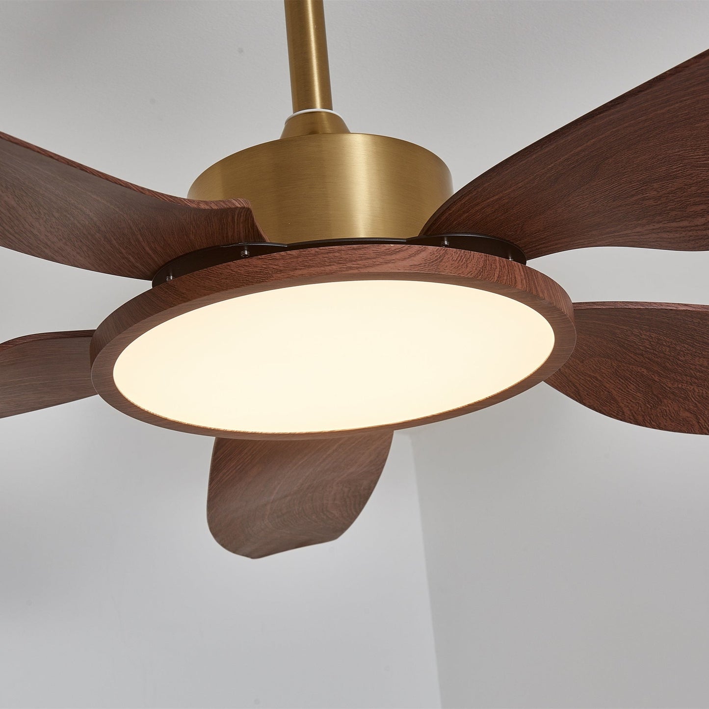 Sirocco Breeze Ceiling Fan Light 1001 Ceiling fan light