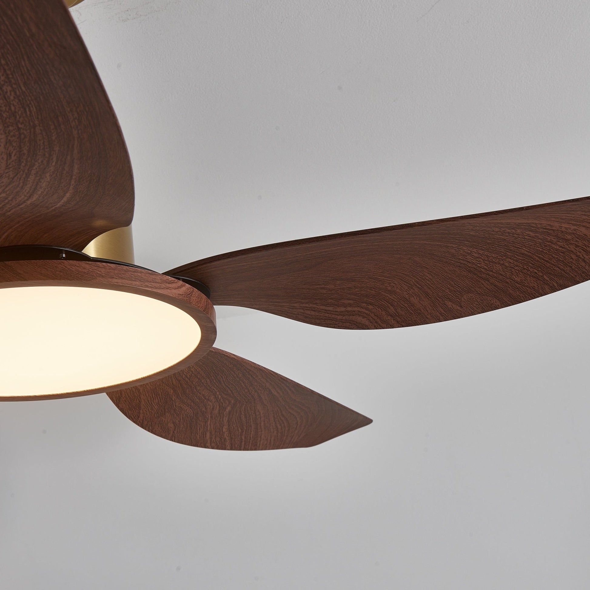 Sirocco Breeze Ceiling Fan Light 1001 Ceiling fan light