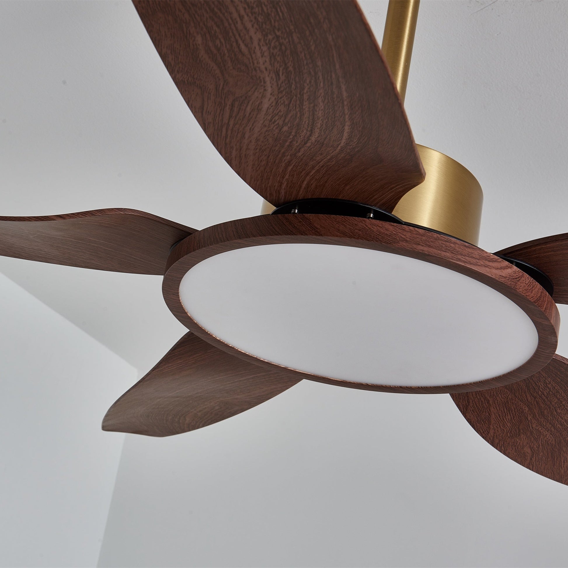 Sirocco Breeze Ceiling Fan Light 1001 Ceiling fan light