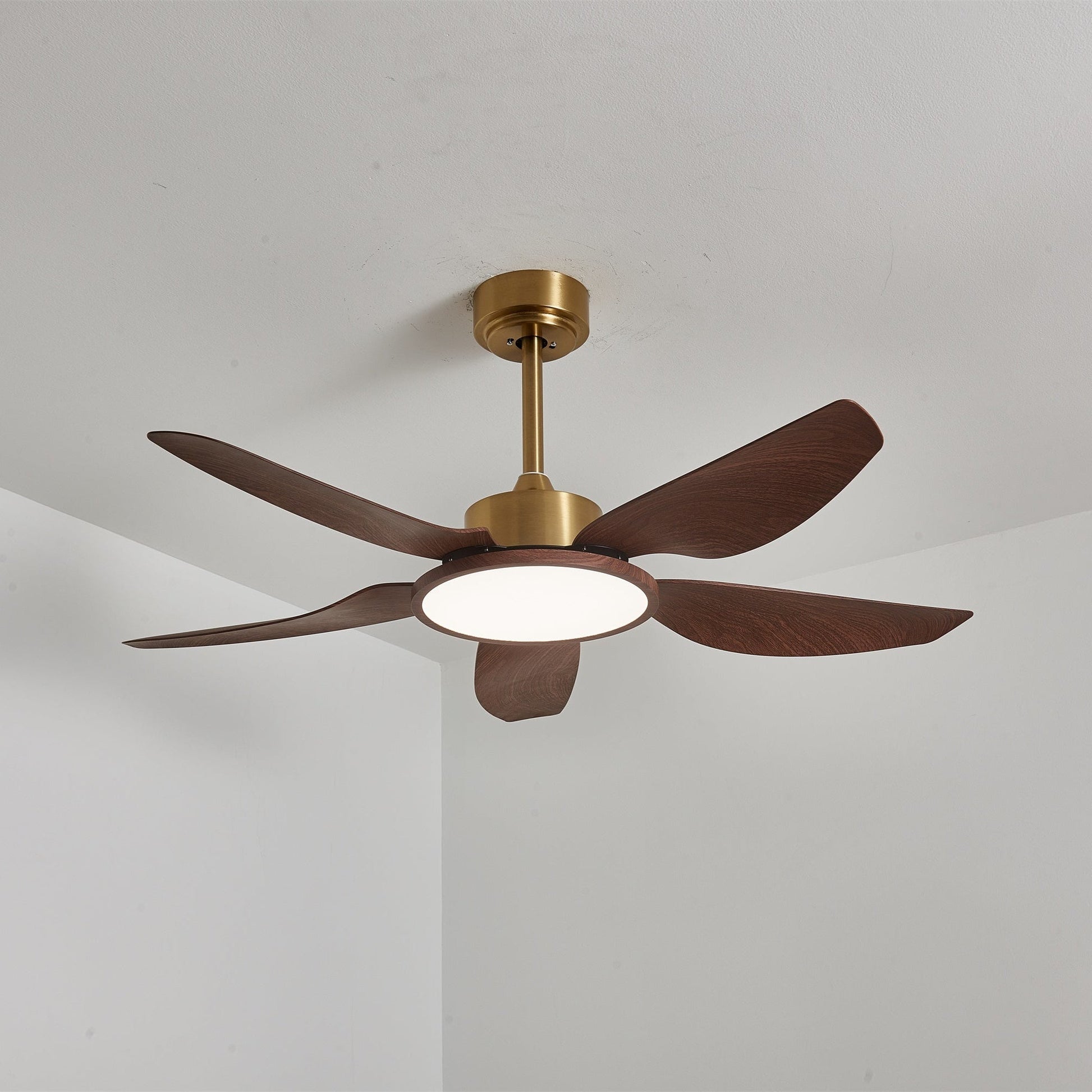 Sirocco Breeze Ceiling Fan Light 1001 Ceiling fan light