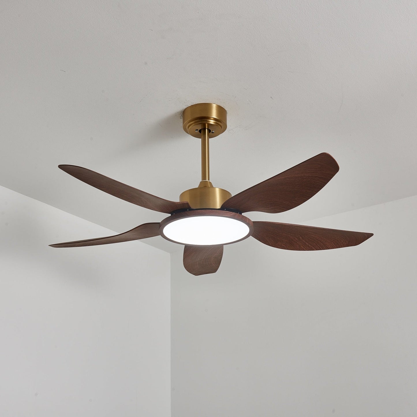 Sirocco Breeze Ceiling Fan Light 1001 Ceiling fan light