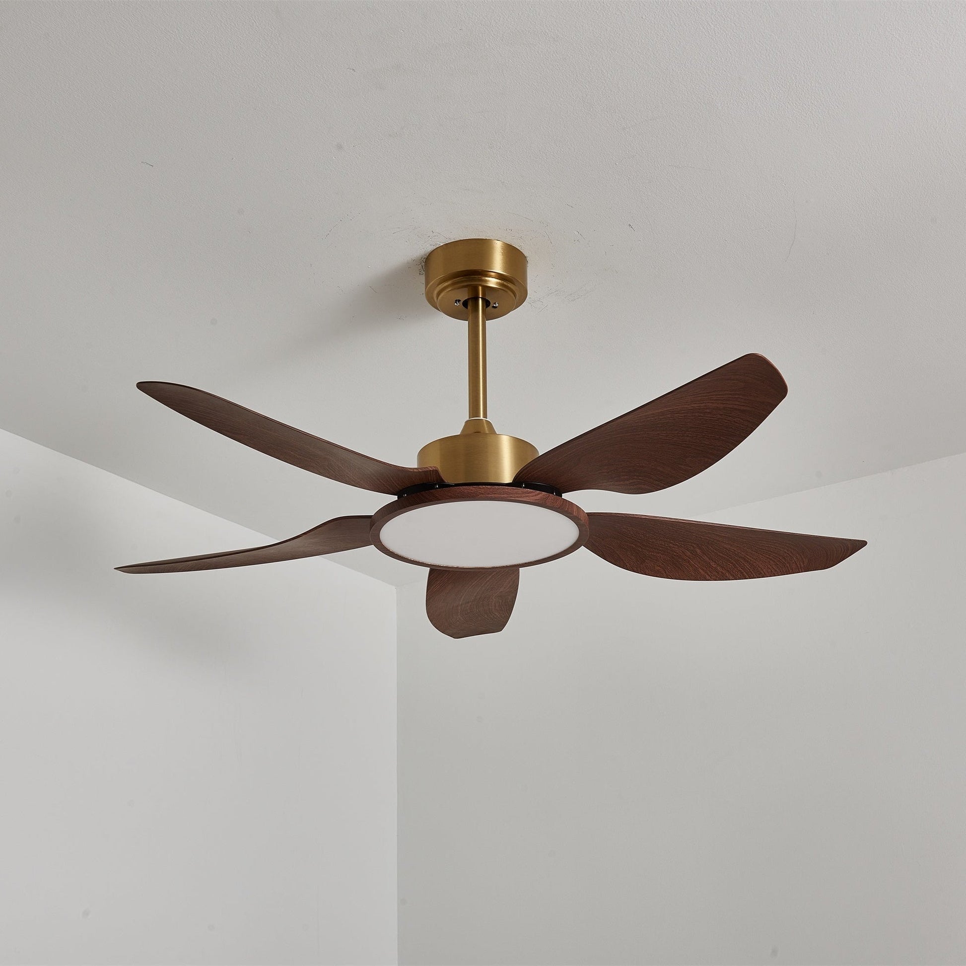 Sirocco Breeze Ceiling Fan Light 1001 Ceiling fan light