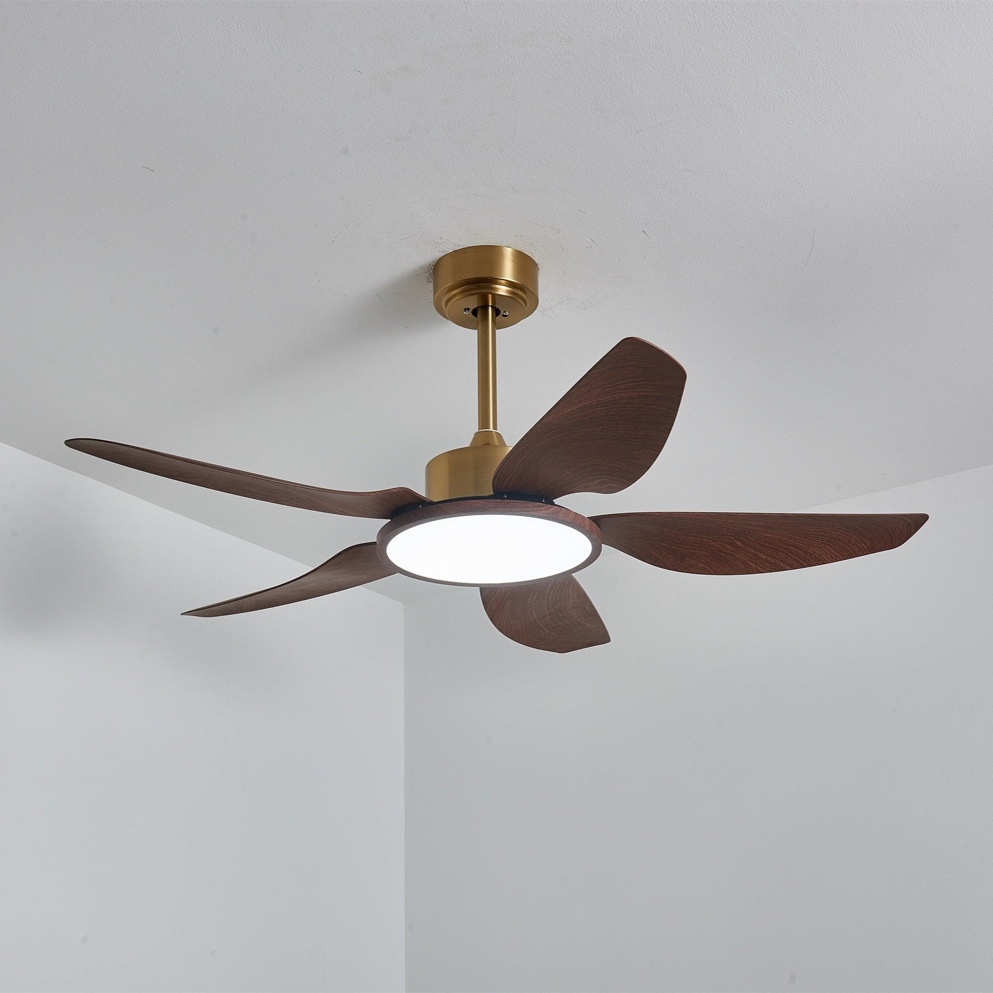 Sirocco Breeze Ceiling Fan Light 1001 Ceiling fan light